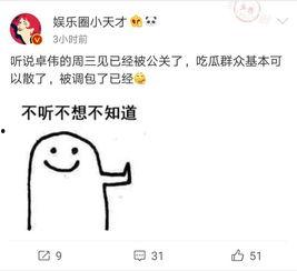 去年卓伟爆料视频大全最新,揭秘娱乐圈风云变幻 第2张 去年卓伟爆料视频大全最新,揭秘娱乐圈风云变幻 第2张