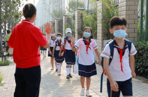 开封爆料小学生视频大全,小学生趣味视频大盘点  第1张